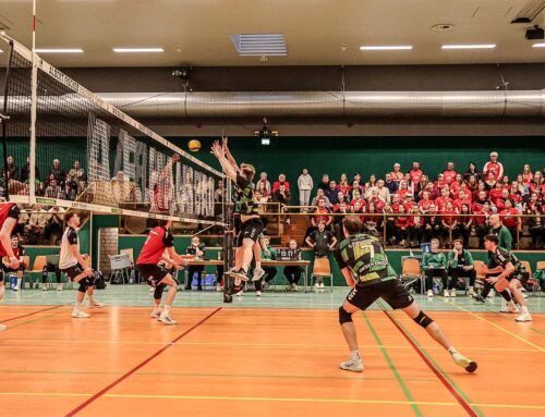 Volleyball – 2. Bundesliga Nord Herren: Vorberichte zum Spiel bei den Münster Volleys (aus Marktspiegel, VBL-News und Link zu NP+/HAZ+)